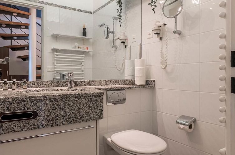 Appartement Apartment Alpenrose 2.5 mit Mitbenutzung SPA & W