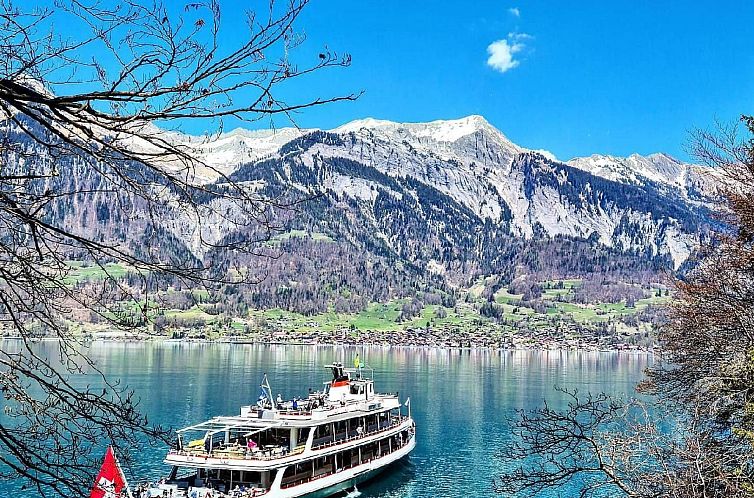 Appartement Chalet Lilo Studio