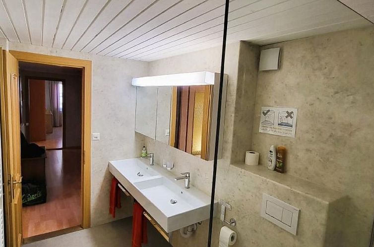 Appartement Chalet Lilo Big view