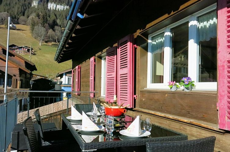 Appartement Chalet Lilo Big view