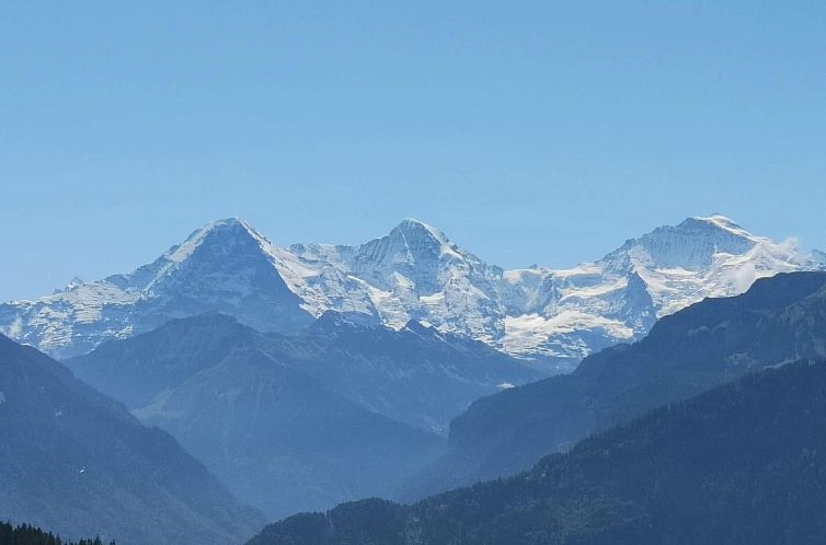 Appartement Chalet Lilo Big view