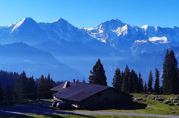 Appartement Chalet Lilo Big view