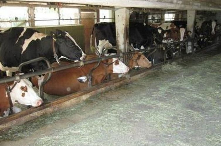 Appartement Farbhaus Bleiche