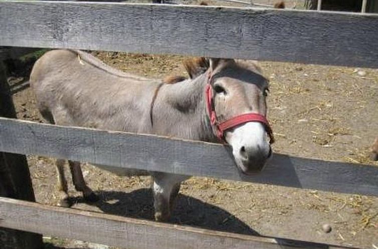 Appartement Farbhaus Bleiche