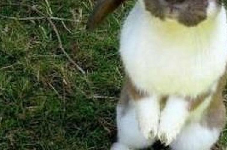 Appartement Farbhaus Bleiche