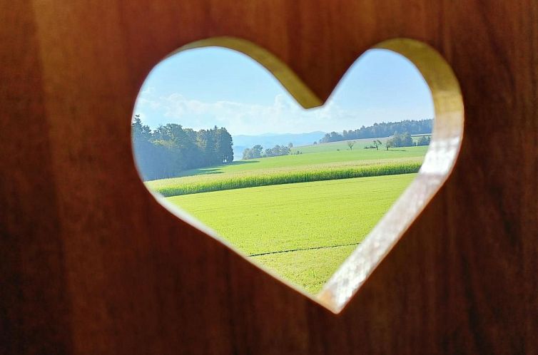 Appartement Zirkuswagen vom Sommerhof