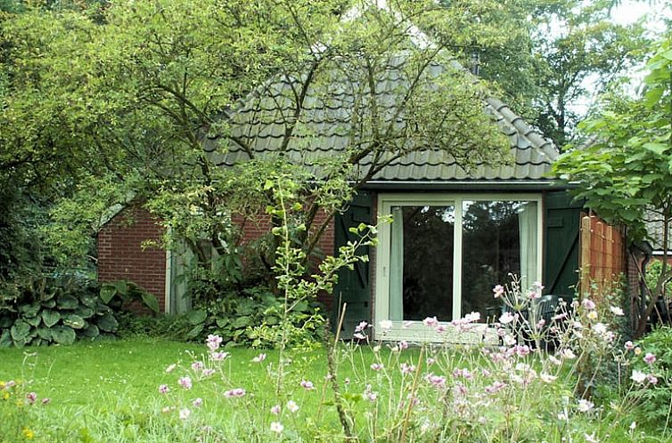 Rustic vacation home in Peize, North Drenthe, surrounded by lush nature and flowers.