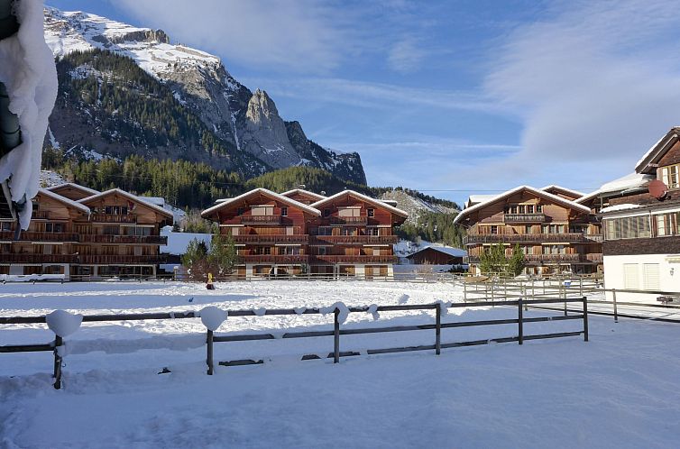Appartement Studio Schweizerhof
