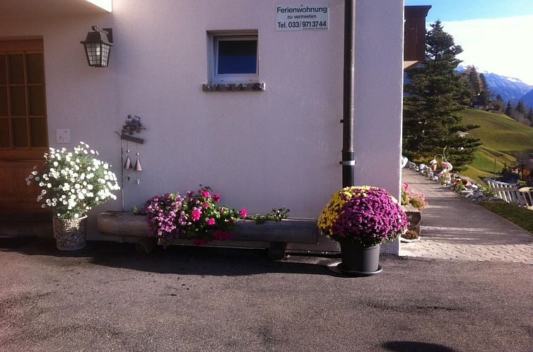 Appartement Anneliese Schaad Studio