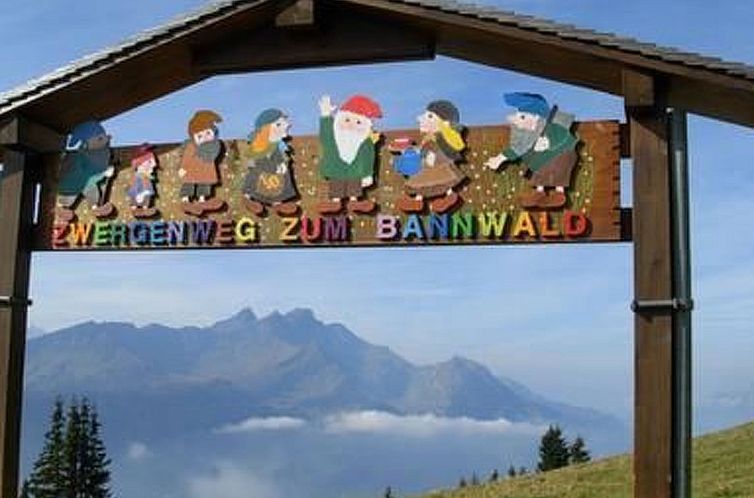 Appartement Anneliese Schaad Studio