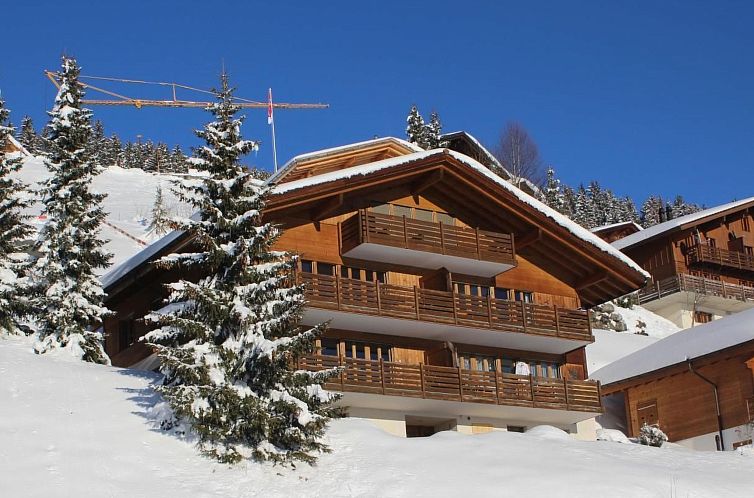 Unterkunft 18017308 - Appartement Berner Oberland - Appartement Chalet Hasliblick 3081 4-Bettwohnung