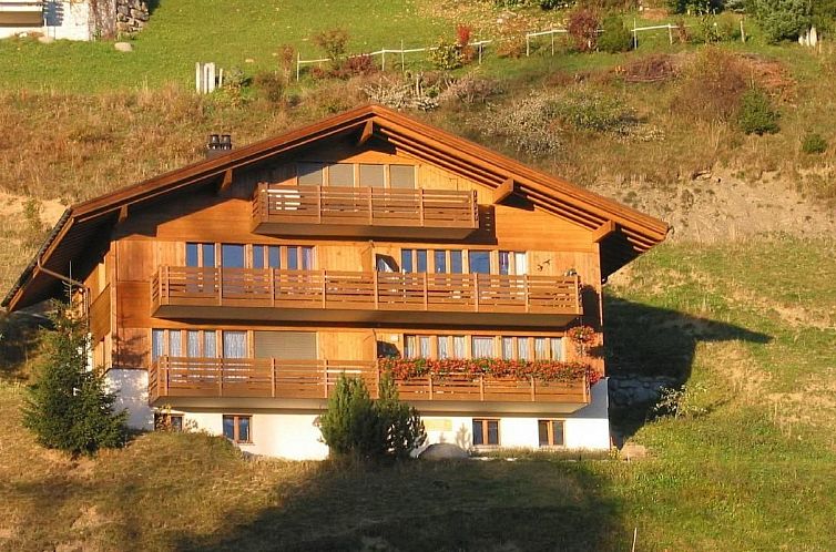Appartement Chalet Hasliblick 3081 4-Bettwohnung