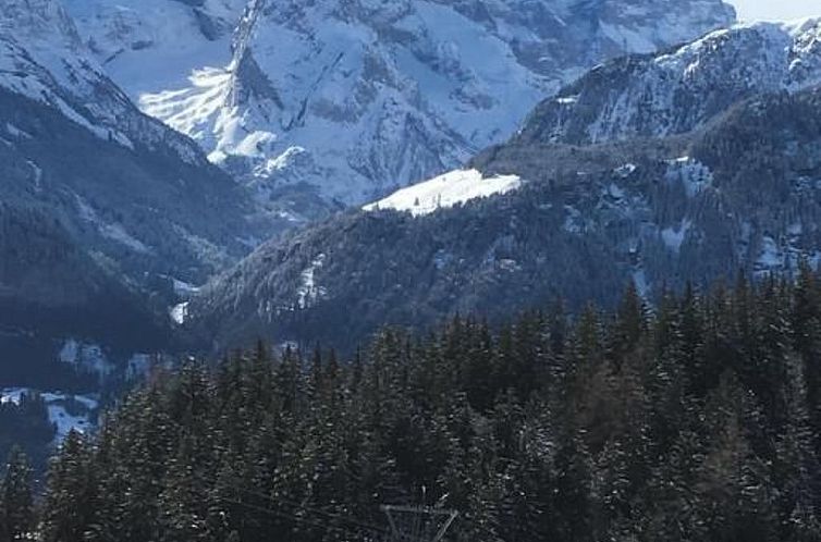 Appartement Chalet Hofer