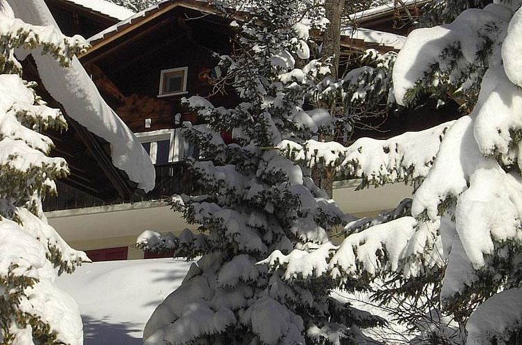 Appartement Abigrot