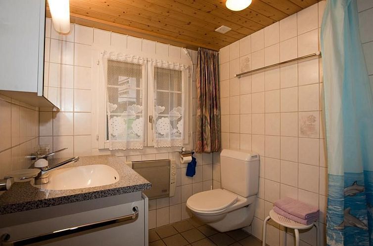 Appartement 6.5 Zimmer Ferienwohnung Hofstatthaus