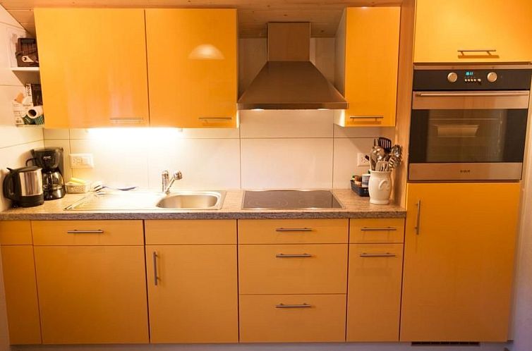 Appartement 4.5 Zimmer Ferienwohnung Hofstatthaus