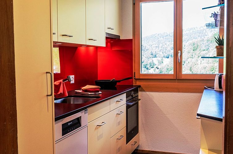 Appartement HasliRent, an dr Egg, (Hasliberg Reuti). 4.5 Zim