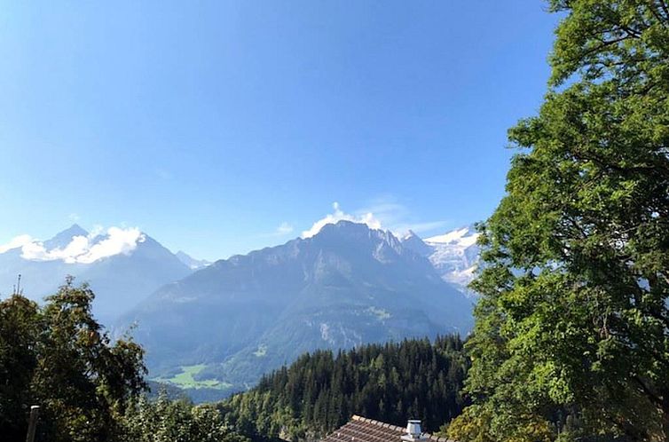 Appartement Chalet Gibu gemütliche 6-Bettwohnung
