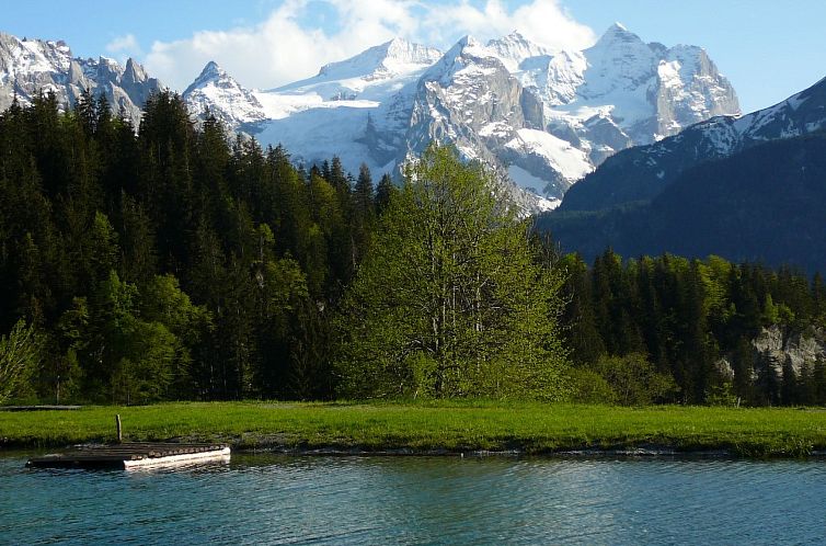 Appartement HasliRent, Holiboimi, (Hasliberg Wasserwendi),