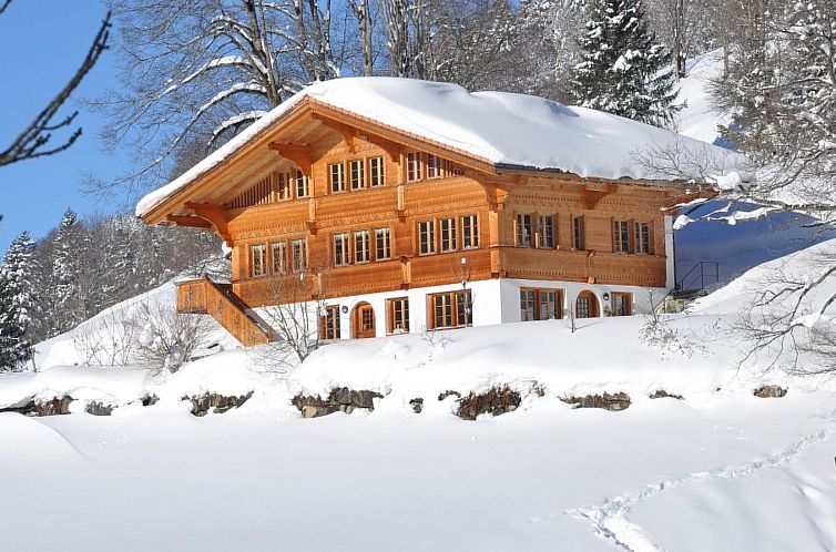 Appartement HasliRent, Holiboimi, (Hasliberg Wasserwendi),