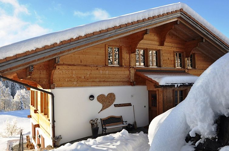 Appartement HasliRent, Holiboimi, (Hasliberg Wasserwendi),