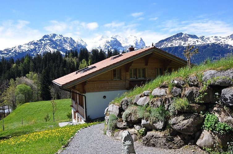 Appartement HasliRent, Holiboimi, (Hasliberg Wasserwendi),