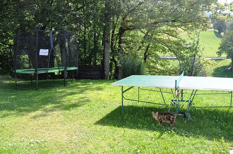 Appartement HasliRent, Holiboimi, (Hasliberg Wasserwendi),