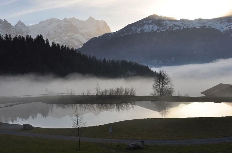 Appartement HasliRent, Holiboimi, (Hasliberg Wasserwendi),