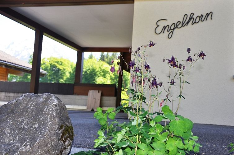 Appartement HasliRent, Engelhorn, (Hasliberg Reuti),