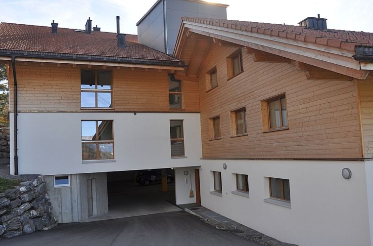 Appartement HasliRent, Engi West 2, (Hasliberg Reuti). Wohnu