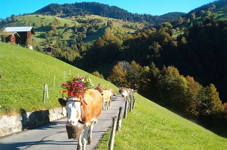 Appartement Hubertus A