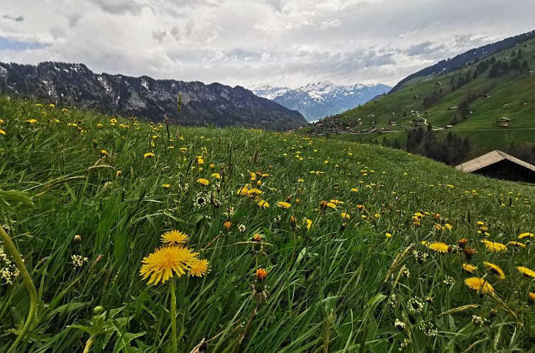 Appartement Fewo Wychelboden