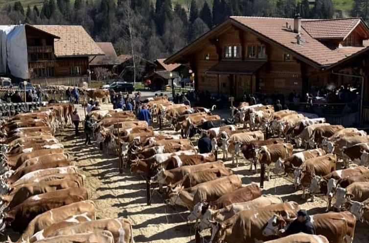 Appartement Fewo Wychelboden