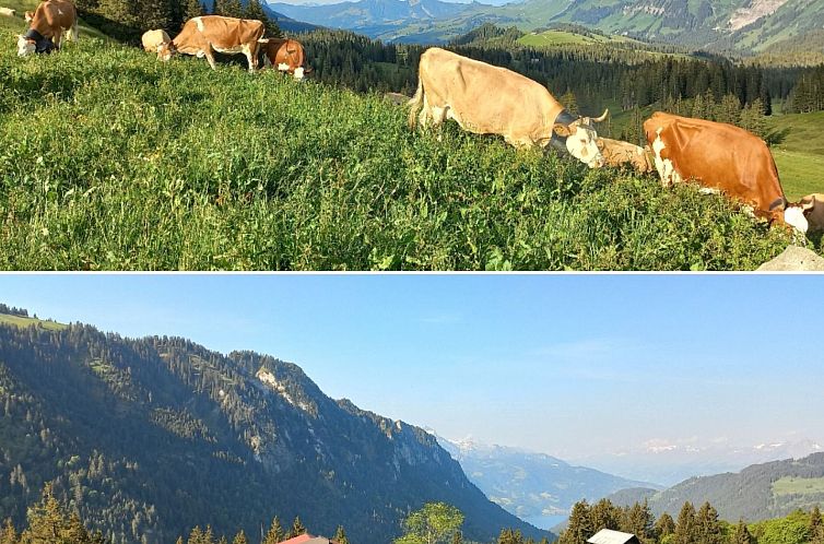 Appartement Fewo Wychelboden