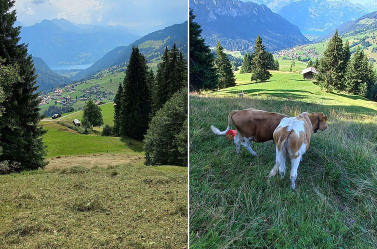 Appartement Fewo Wychelboden