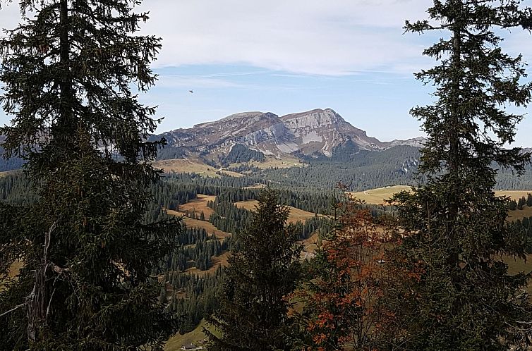 Appartement Fewo Wychelboden