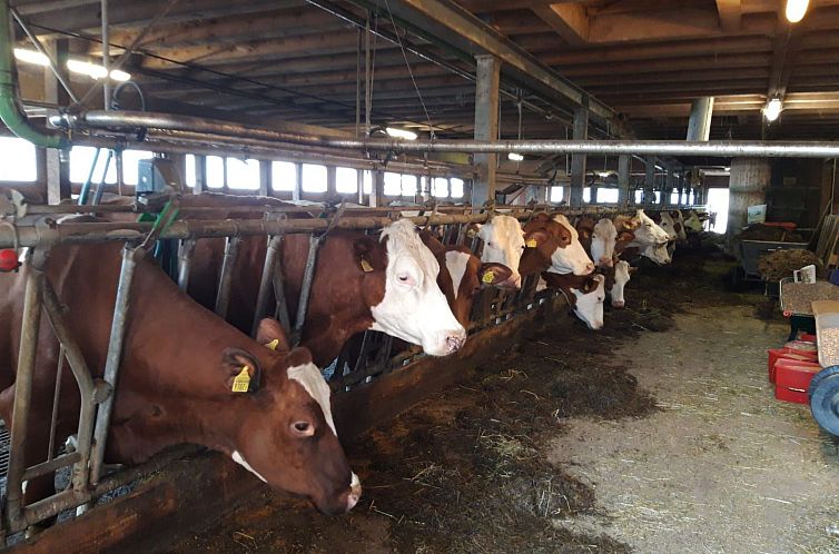 Appartement Fewo Wychelboden