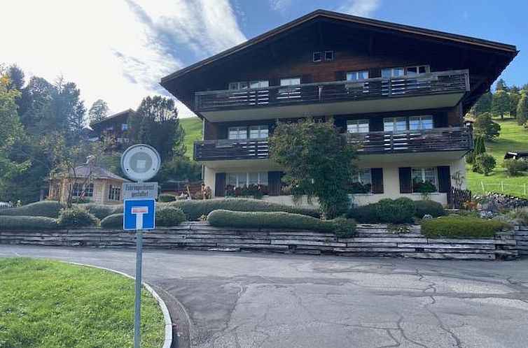 Verblijf 1802004 - Appartement Berner Oberland - Appartement Hubertus 396 d