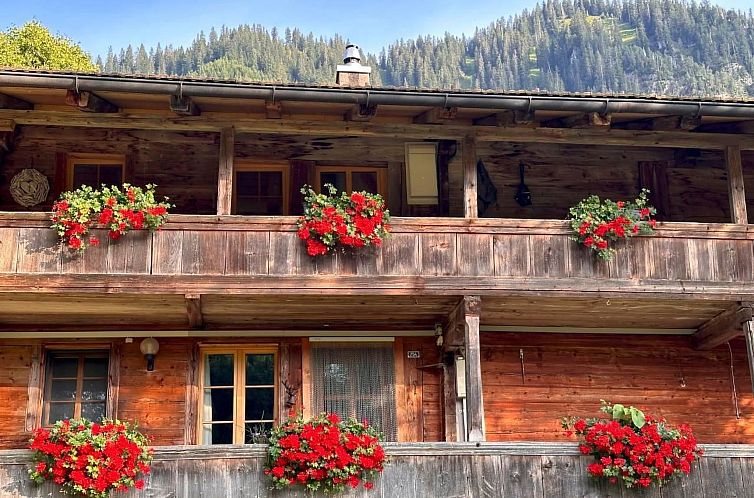 Appartement Wohnung Niesenblick