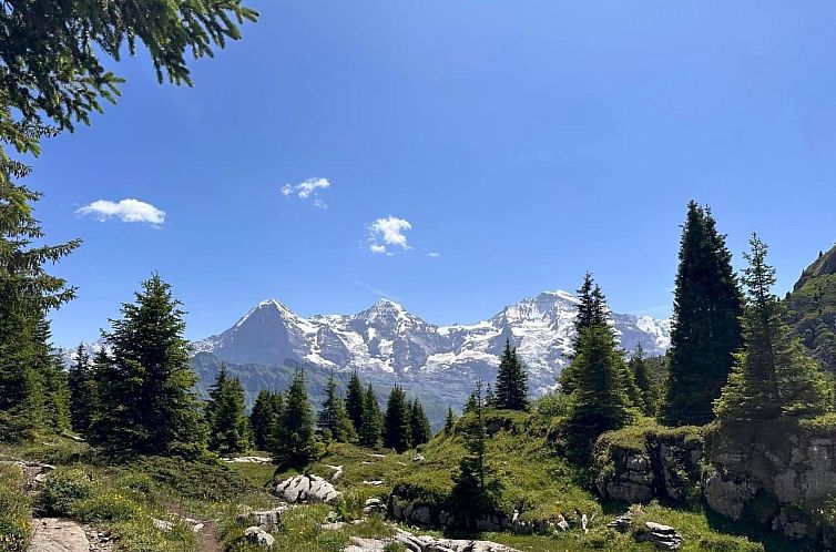 Appartement Wohnung Niesenblick