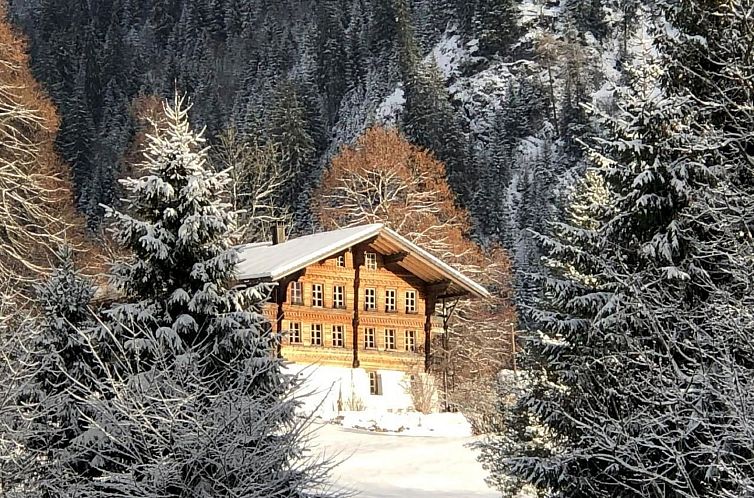 Appartement Wohnung Niesenblick