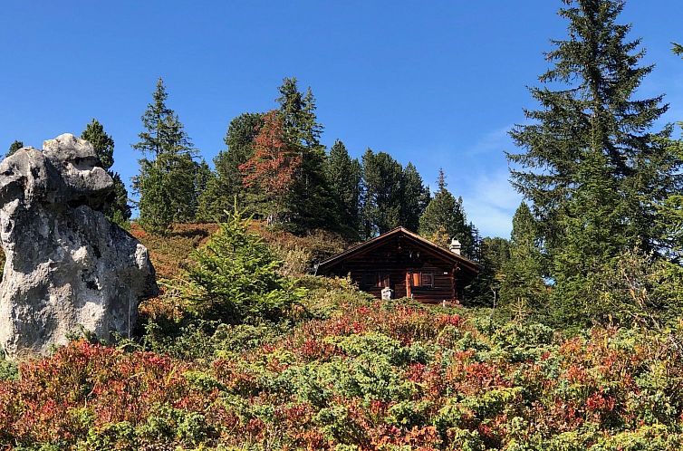 Appartement Wohnung Niesenblick