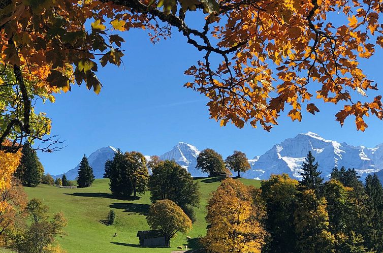 Appartement Wohnung Niesenblick