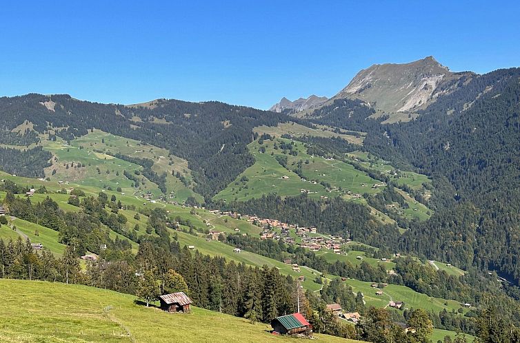 Appartement Wohnung Niesenblick