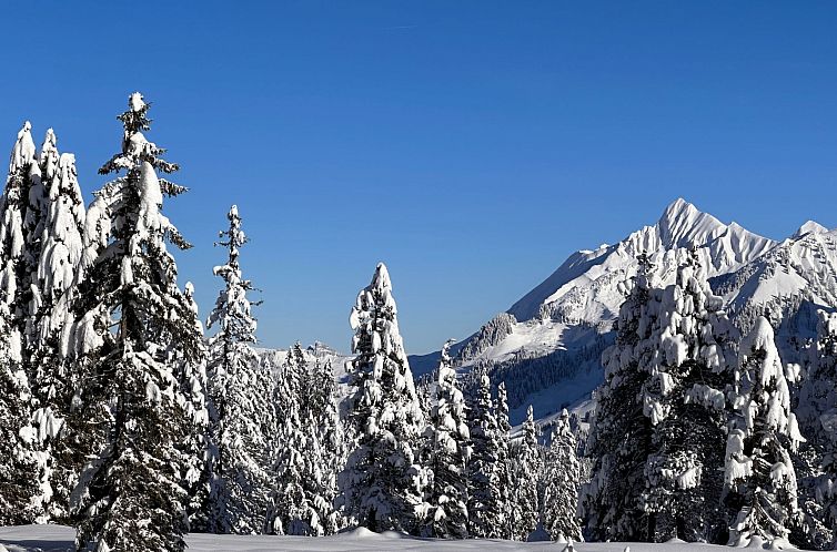 Appartement Wohnung Niesenblick