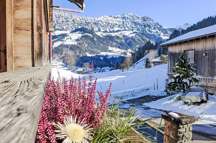 Appartement Reinisch