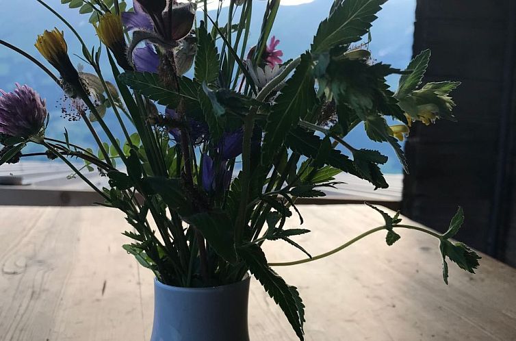 Vakantiehuis Hofuri, 1300m