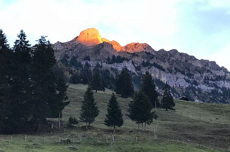 Vakantiehuis Hofuri, 1300m