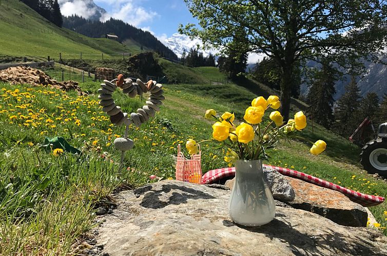 Vakantiehuis Hofuri, 1300m