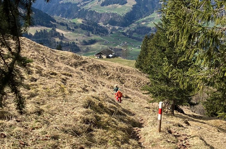 Vakantiehuis Hofuri, 1300m